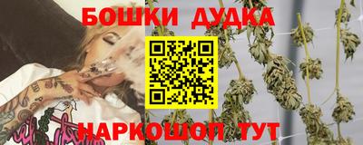 Альфа ПВП Будённовск