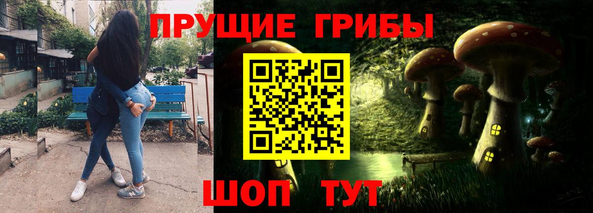Скопин  Псилоцибиновые грибы прущие грибы  Вход с VPN 