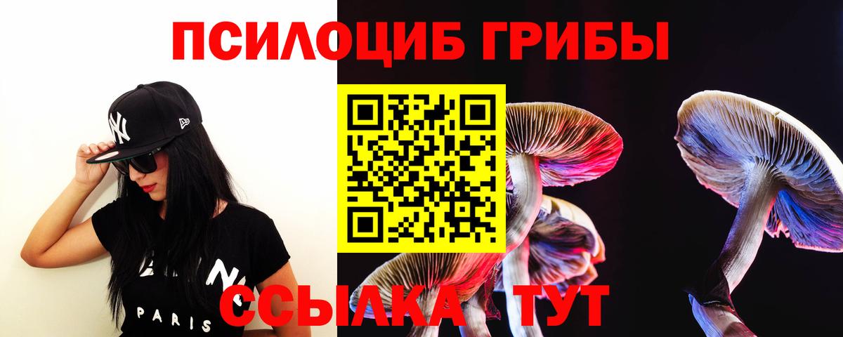Псилоцибиновые грибы Magic Shrooms Скопин